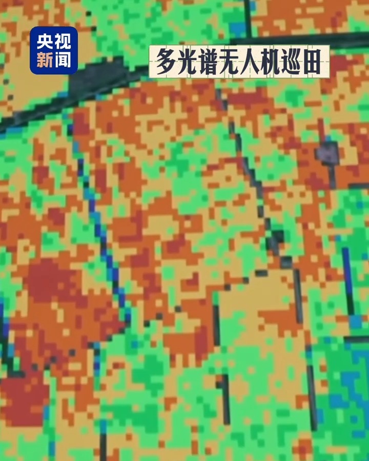 装上硬核“智慧芯” 大国粮仓科技范儿十足