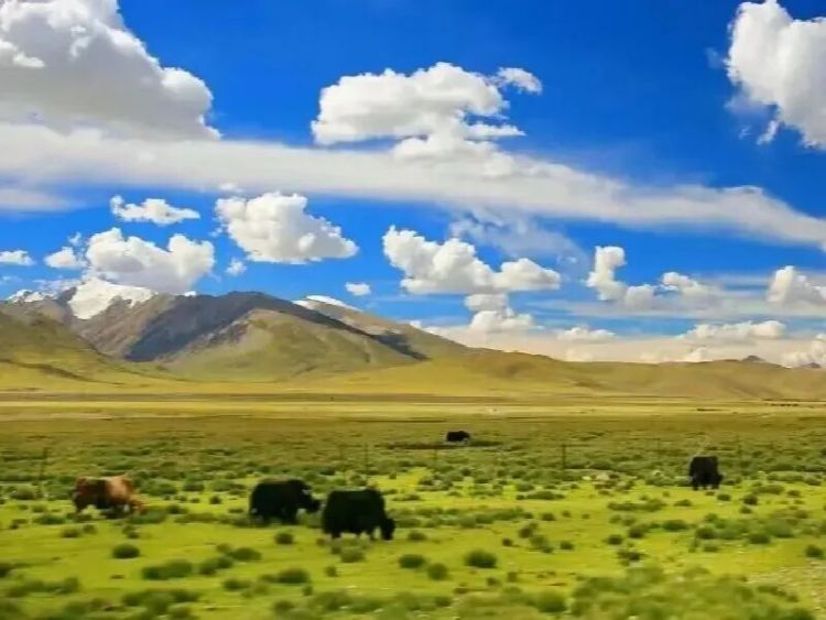 西藏秋季拍大片，不用专业相机就能框住三色美！