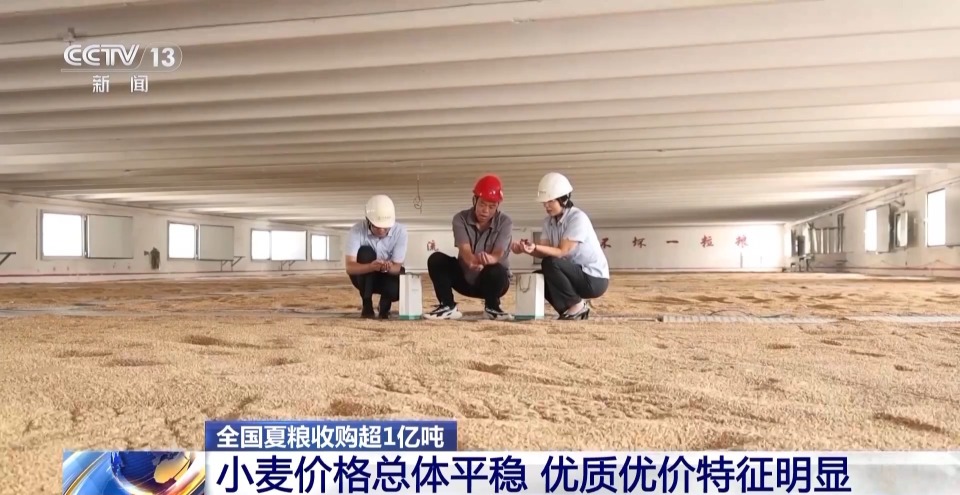 全国夏粮收购超1亿吨 小麦价格总体平稳