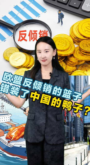欧盟反倾销的篮子，错装了中国的鸭子