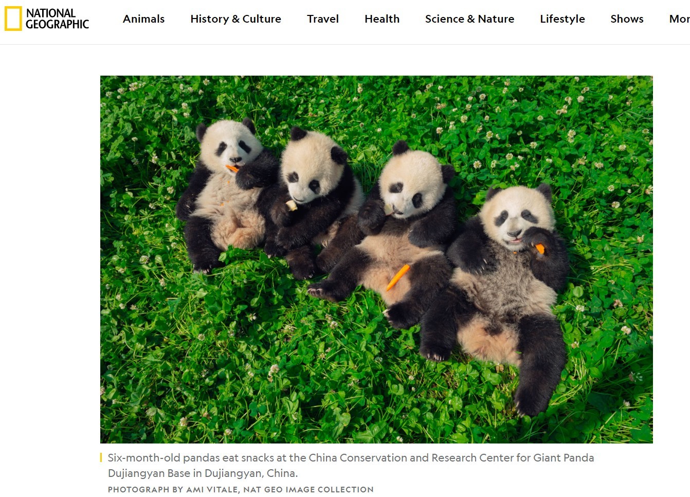 全球媒体聚焦丨“不容错过”美国《国家地理》杂志盘点“必去”的中国国家公园