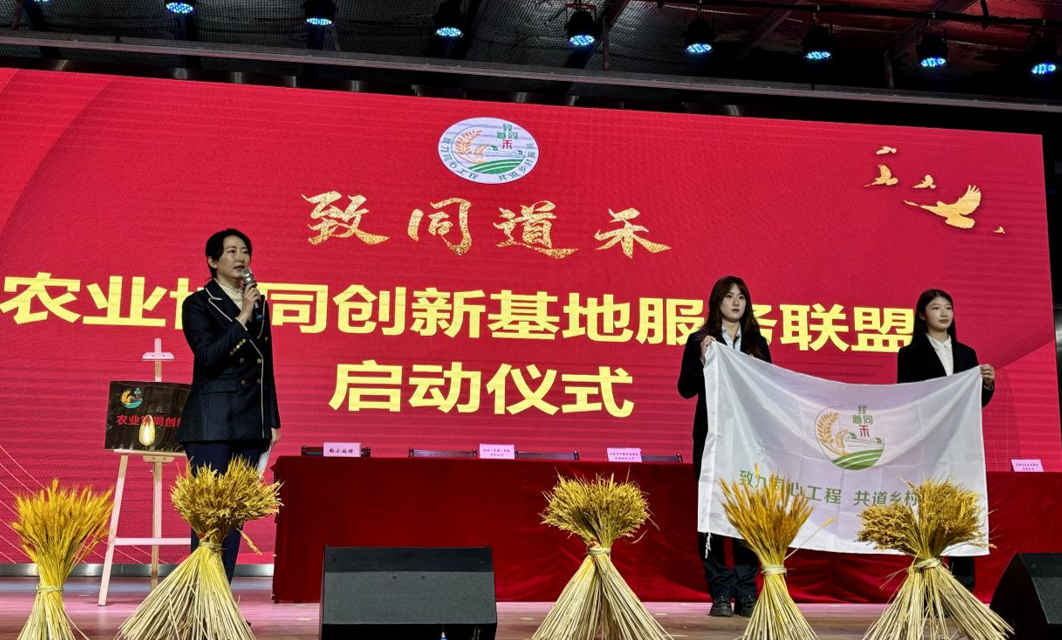 天津市津南区：“津彩南望 乐享丰收”八里台镇丰收市集暨“致同道禾”农业协同创新基地服务联盟正式成立