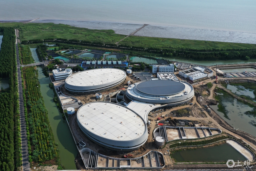 在长江“终点”守望生命“起点”：上海与一尾鲟的“生态之约”