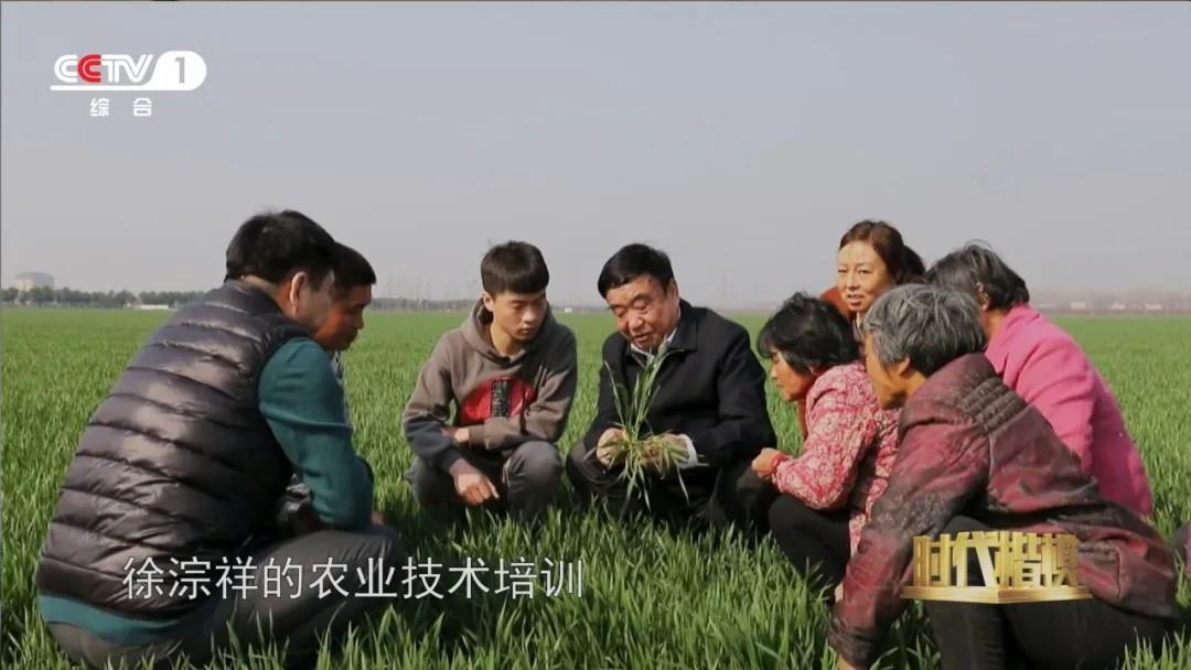 多种粮、种好粮的他被授予“时代楷模”
