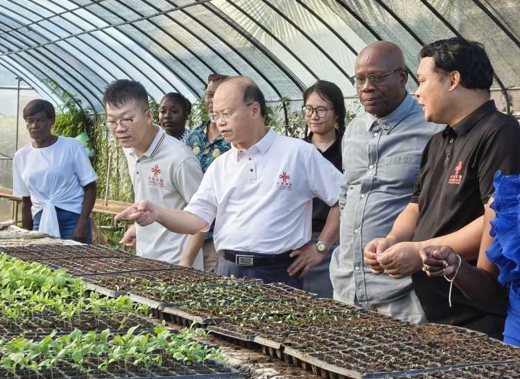 直通使领馆 | ‌从板球场到新机场：中国援建如何改变这座加勒比海岛国？