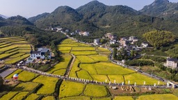 浙江省文化特派员派驻乡村半年记：当好“实干派”争做“实力派”，以文化促进物质精神共同富裕