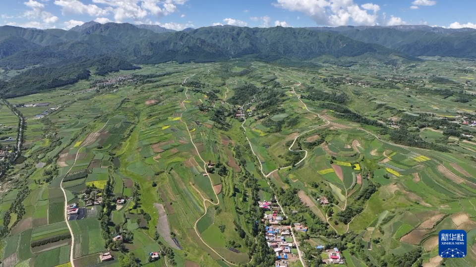 定西渭源：中药材种植基地药香四溢_fororder_2