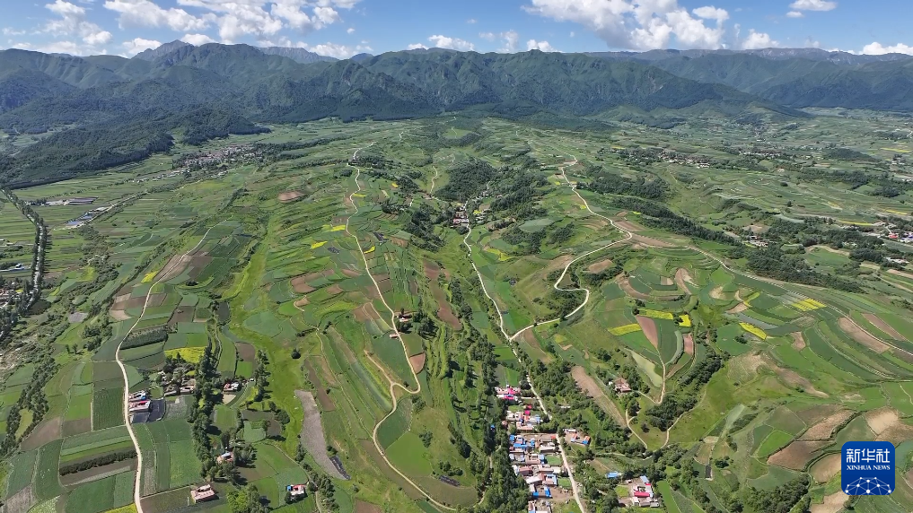 定西渭源：中药材种植基地药香四溢_fororder_2
