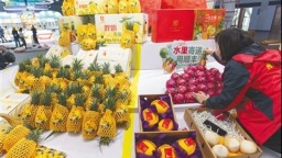 去年11月到今年10月 海南农产品累计销售出岛超823万吨