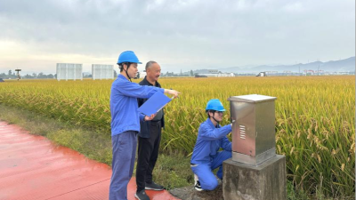 Ningbo, Zhejiang: Power Services Safeguard a Bountiful Harvest_fororder_图片18