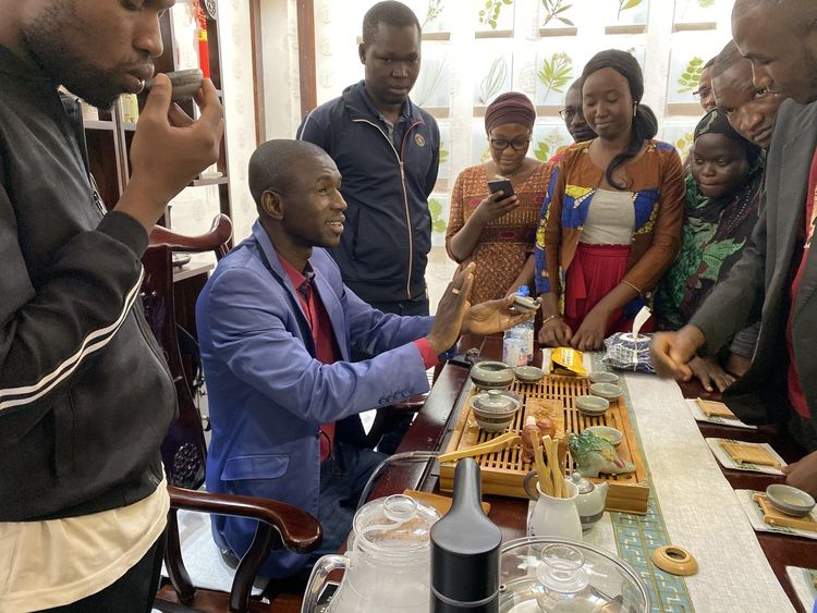 资讯有故事丨让外国人了解中医技术和文化 鲁班工坊有妙招