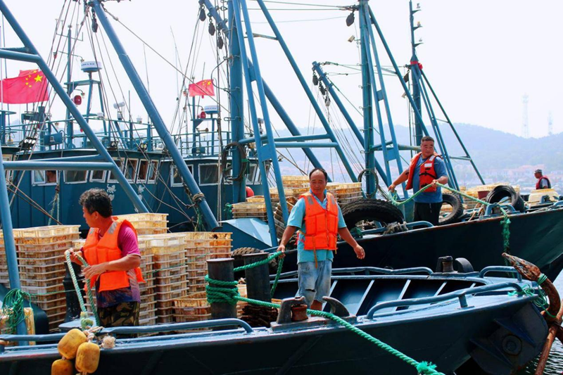 백여 척 어선, 옌타이 창다오서 '첫 그물' 쳤다_fororder_图片6