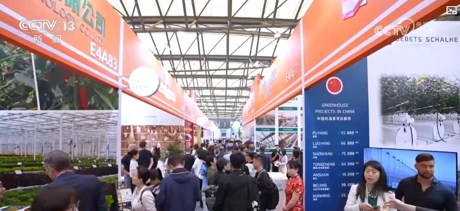 “鲜花经济”一路生花！我国花卉海外贸易持续增长 产业竞争力显著增强