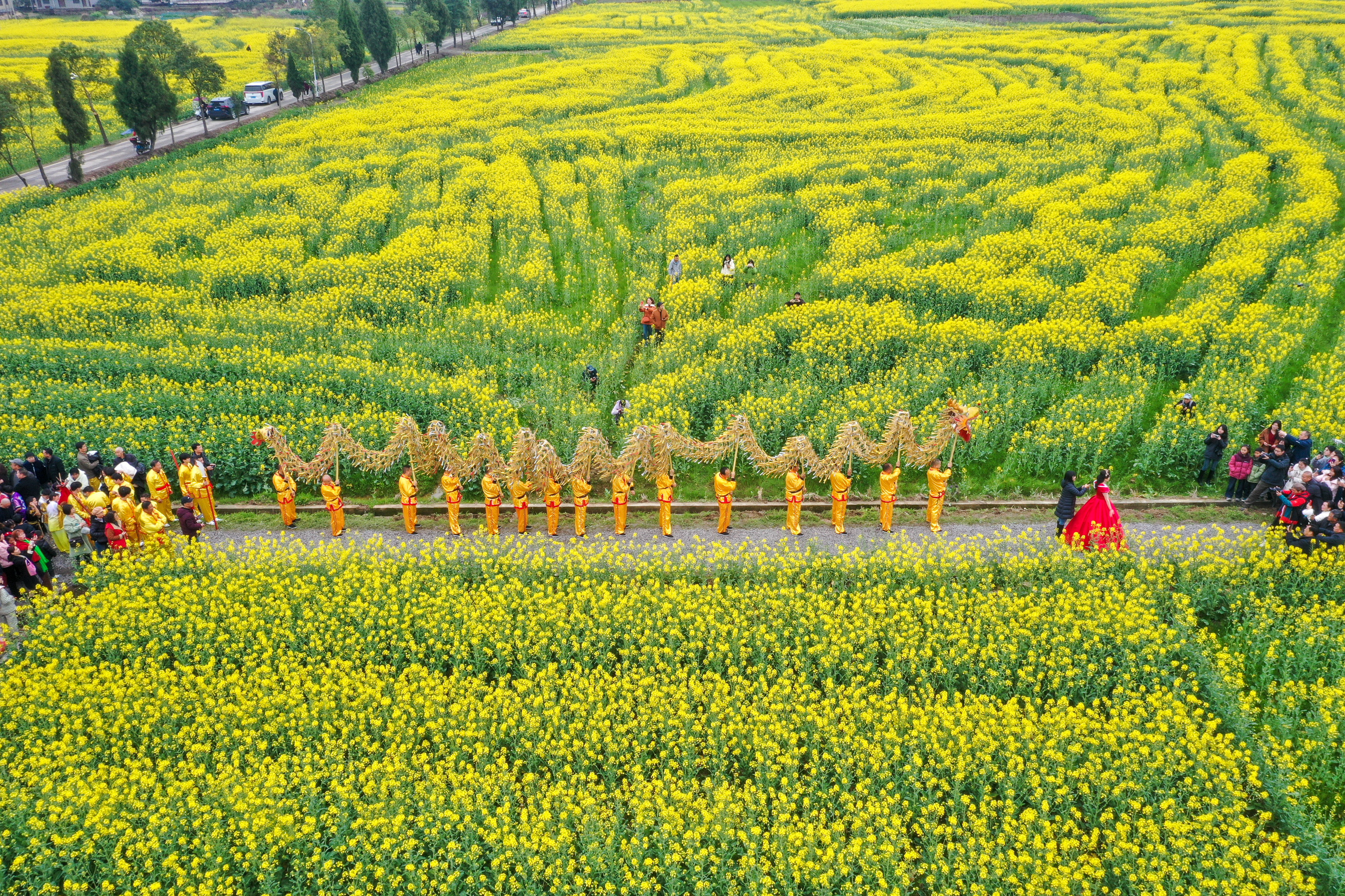 衡阳市2025春季文化旅游推广季之衡阳县第十四届油菜花海畅游活动启幕_fororder_图片2