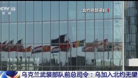 视频丨乌克兰武装部队前总司令：乌加入北约无望