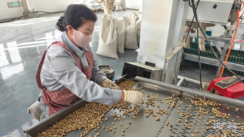 新质新造·兵团丨图木舒克高质量发展步履坚实