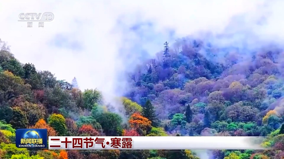 文化中国行丨二十四节气·寒露 白云红叶 菊有黄华