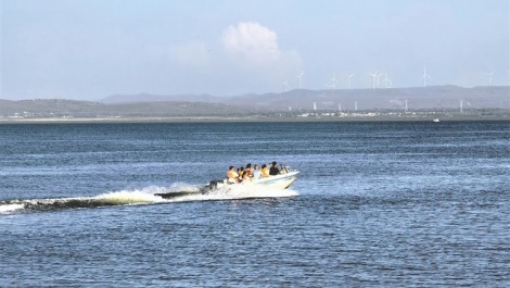 系统治理岱海蝶变_fororder_4159700_wt_1754922154717_s