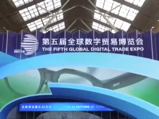 第五届全球数字贸易博览会取得多项成果
