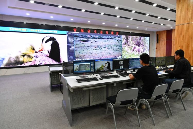 习近平总书记关切事｜生态守护亮“新”技
