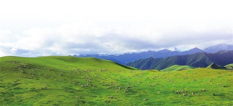 绿染陇原筑屏障 生态文明谱新篇 ——甘肃以“两山”理念引领西部生态安全屏障建设纪实