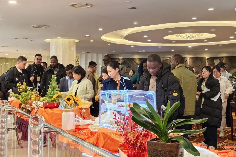 梅地亚:两会新闻中心的中国声音