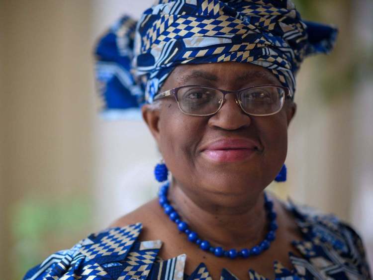 世贸组织：全球价值链展现韧性 正加速重构