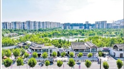 上城区丁兰街道：文化赋能民生服务，构建基层治理新格局