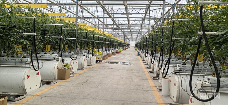 万人说新疆丨五湖四海聚新疆 看蓬勃发展“新”魅力