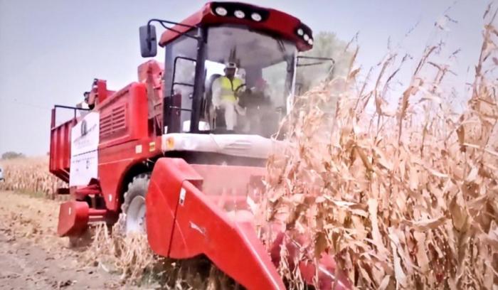 天津“鲁班”出海 职教闪亮全球