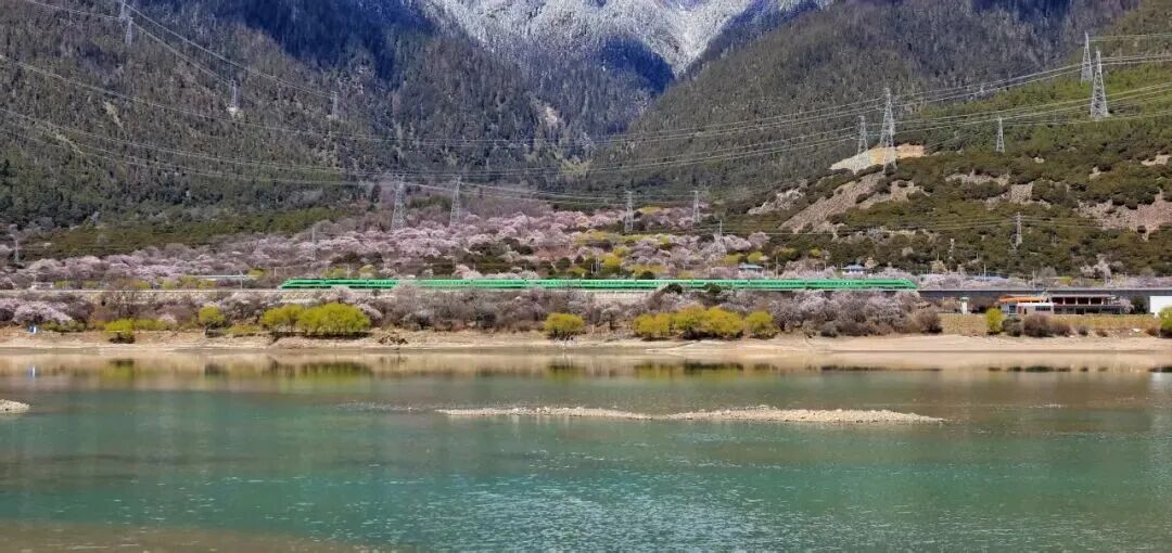 万余张照片见证青藏铁路变迁