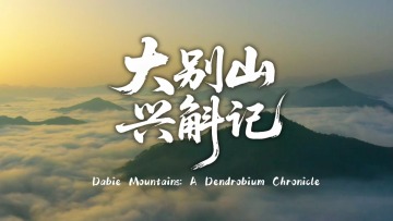 鲜味中国 四季农香 | 大别山 兴斛记_fororder_723f0fb994905daa65e42d3a7e511ebf