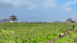 组图｜久雨初晴逢春假 梨园春色“醉”童心
