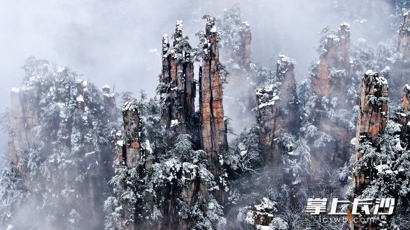 组图｜雪后初霁，张家界云海雾凇日出同框如仙境_fororder_a29796798f9e24518f594fe3e92e90b3watermark167c96fc1a6342