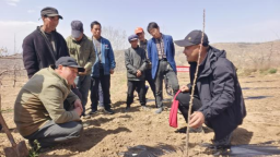 天水市秦州区：果园培训强技能 提质增效兴产业