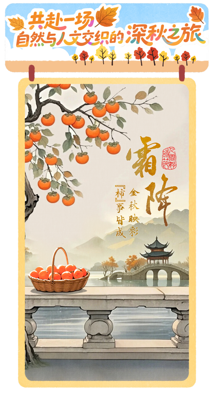 总台周看点丨锚定未来启新程