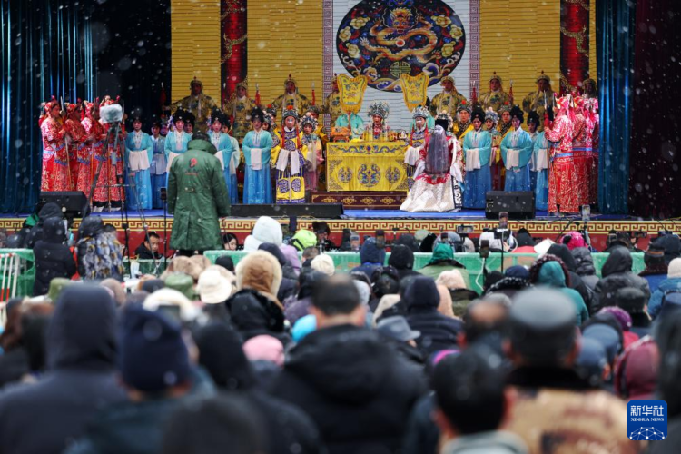 甘肃定西：特色年集激活“年经济”