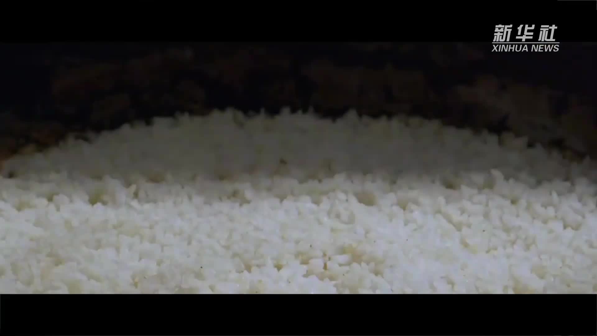 微视频丨“中国饭碗”装中国粮，总书记行之念之