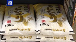 总台记者观察丨日本大米价格持续上涨 今年秋季或更贵