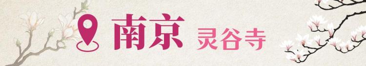 文化中国行·文博日历丨早春玉兰开 一起到全国古迹去追花（附打卡攻略）