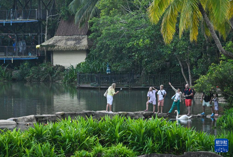直播自贸港｜2024年海南游客总花费超2000亿元