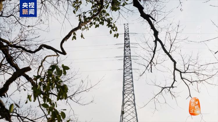 文化中国行丨桐城张氏：六尺巷中天地宽