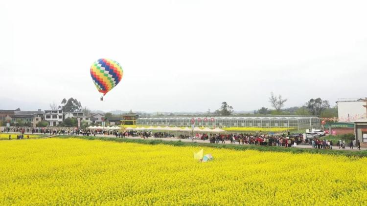 新华视点｜春日盛景赋能“花经济” 文旅融合焕发新活力