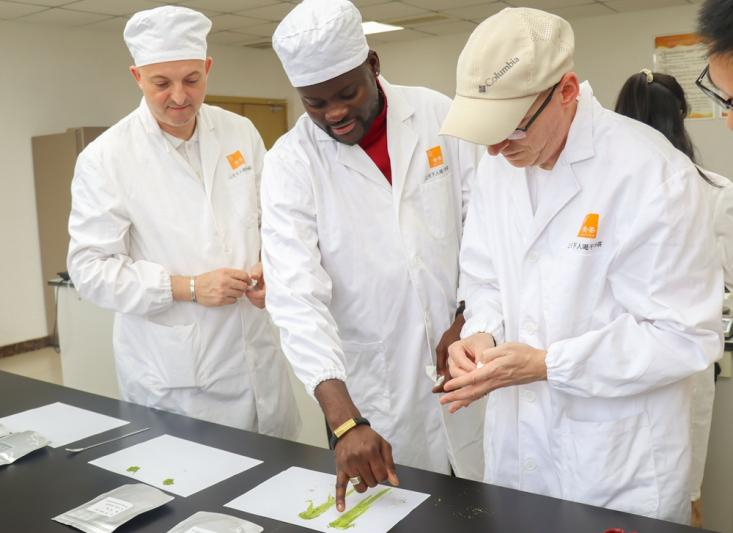 Guizhou Matcha Goes Global: Transnational Culinary Dialogue Explores Industry's Future_fororder_图片10