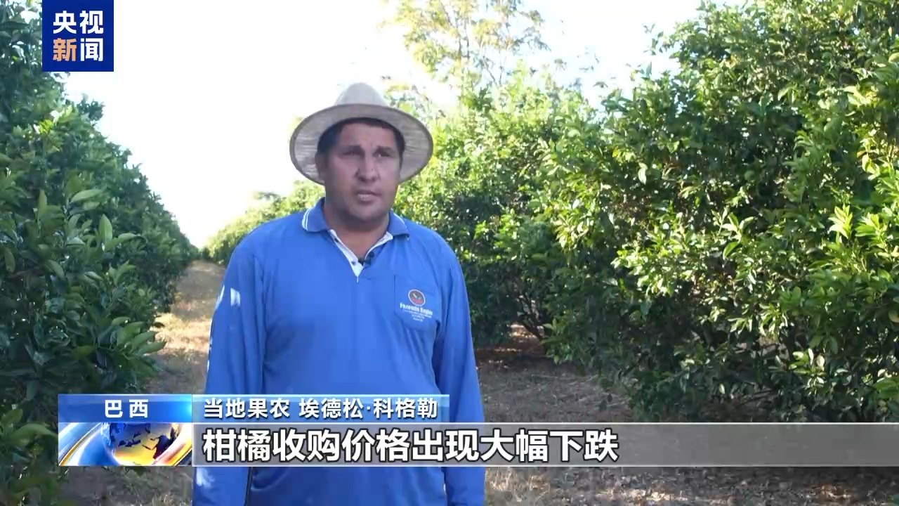 恐无奈让水果烂在树上 巴西果农忧心美加征关税冲击