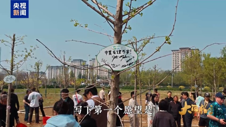 大国来信丨青春同行