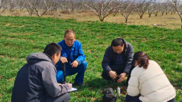 天水市麦积区：农技服务到田间 春耕生产按下“快进键”