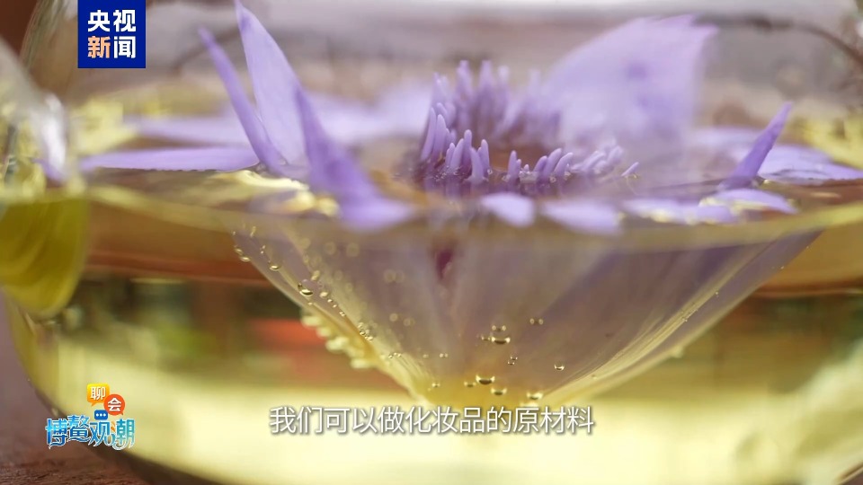 聊会·博鳌观潮丨花茶+菜梗+精油，蓝莲花全身是宝！