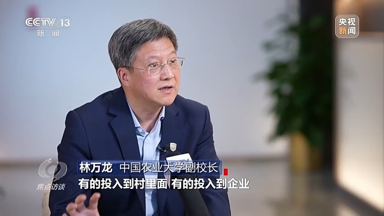 焦点访谈丨如何扎实推进乡村全面振兴?深化改革是关键