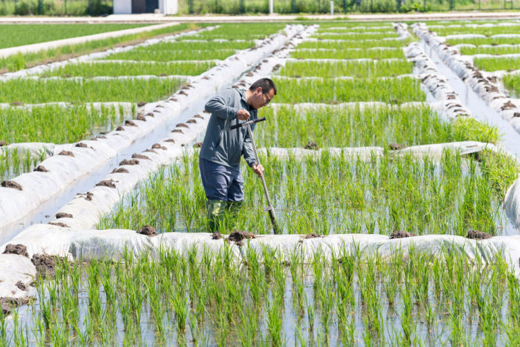 走好中国式现代化关键一程——从全国两会看“十五五”规划新图景